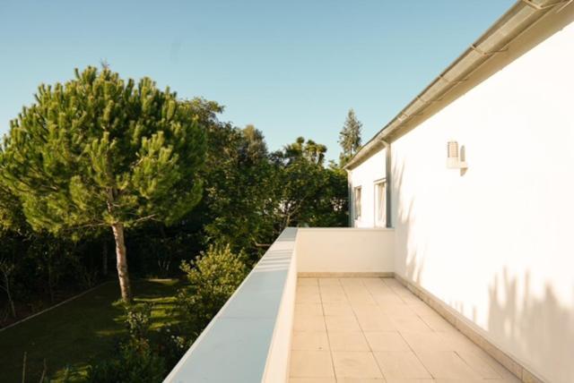 Edles Apartment In Architektenvilla Mit Grossem Pool, Sauna, Dachterrasse Und Malerischem Garten Pataias Buitenkant foto